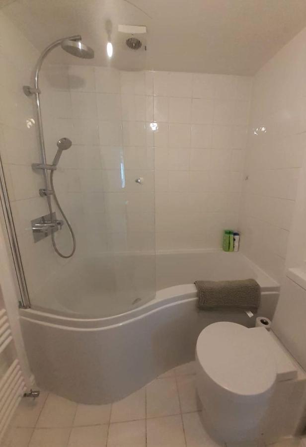 2 Bedroom Victorian Garden Flat Londra Dış mekan fotoğraf